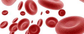 Giovedì 27 aprile, V edizione della Raccolta Sangue targata Usb e Fidas