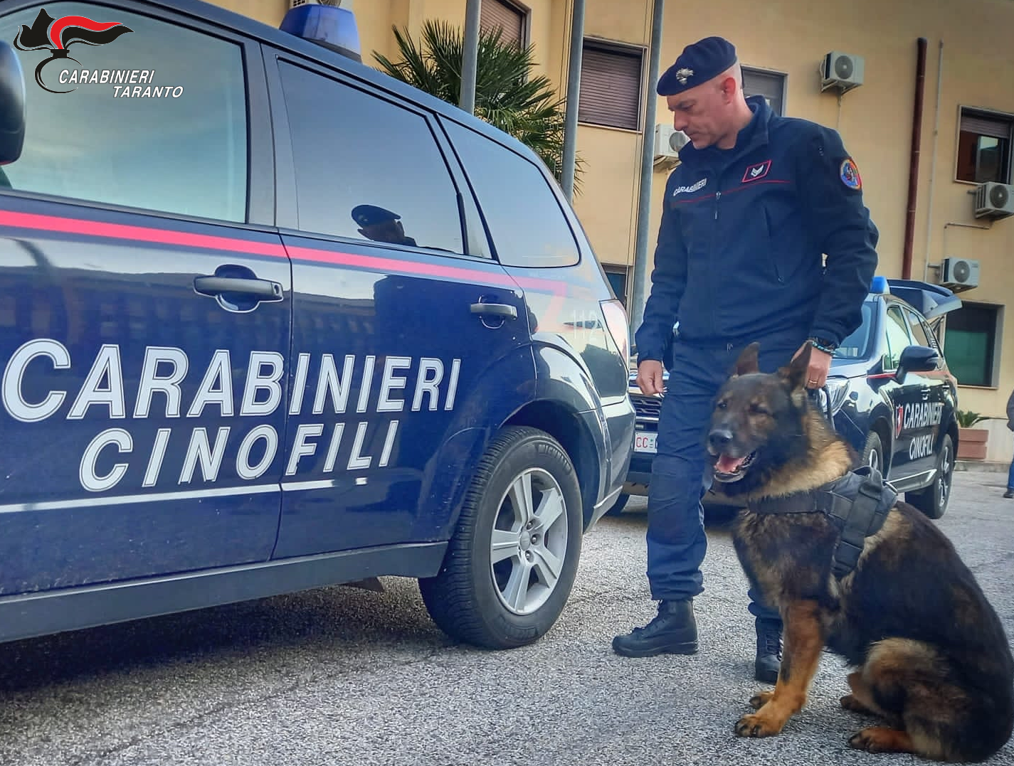 Stupefacenti, 8 arresti dei carabinieri