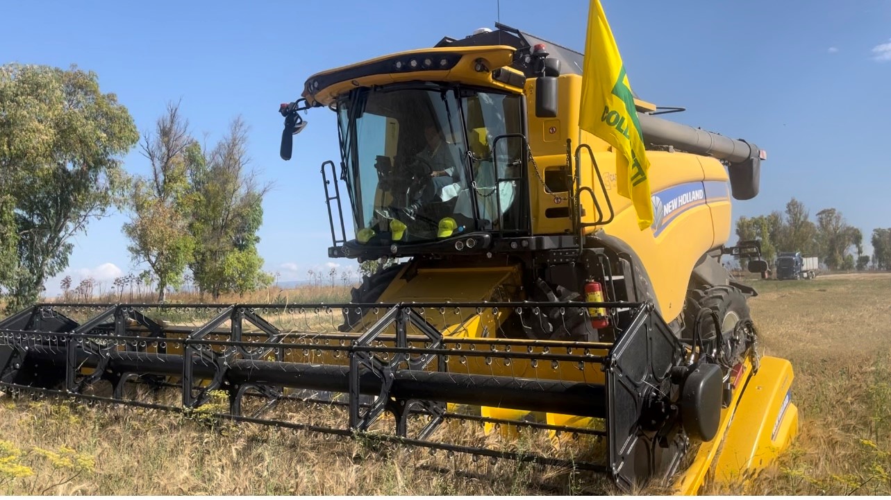 Grano, Coldiretti: in Puglia produrlo costa ad agricoltori 300 euro in più ad ettaro