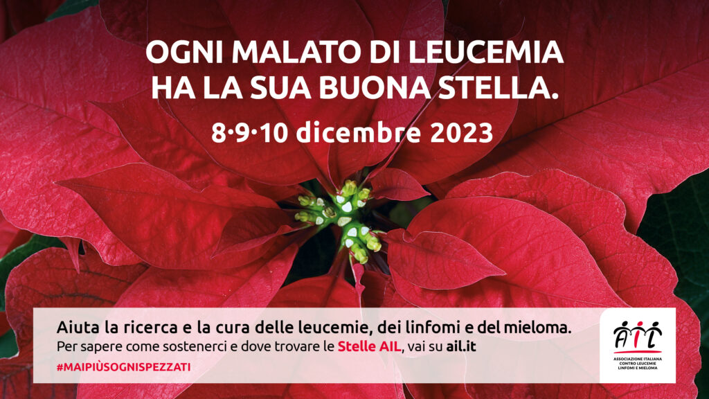 Stelle di Natale AIL, a dicembre la 35^edizione