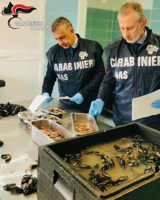 Controlli del NAS di Taranto su prodotti ittici: sequestrati 150 kg di cefalopodi