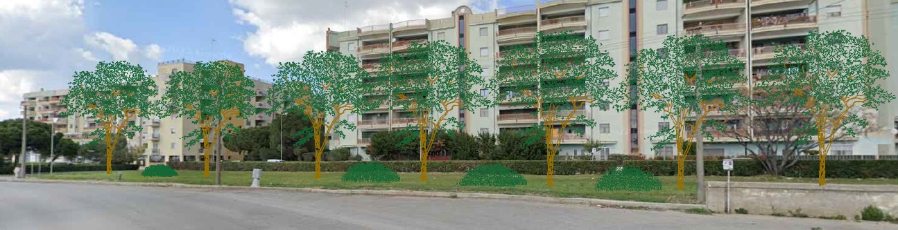 “Alberi per il futuro”, contributo della Regione per 14 nuovi lecci