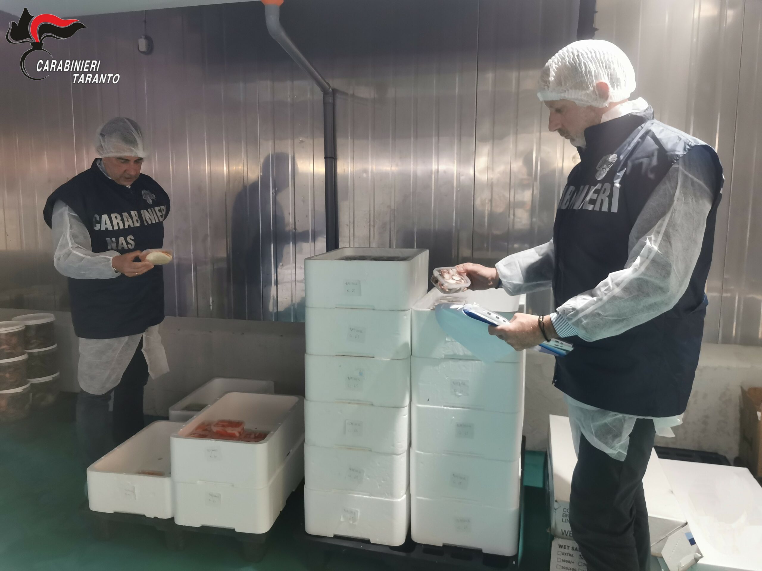 Controlli NAS su filiera ittica: sequestrati 650 kg di pesce pregiato non tracciabile