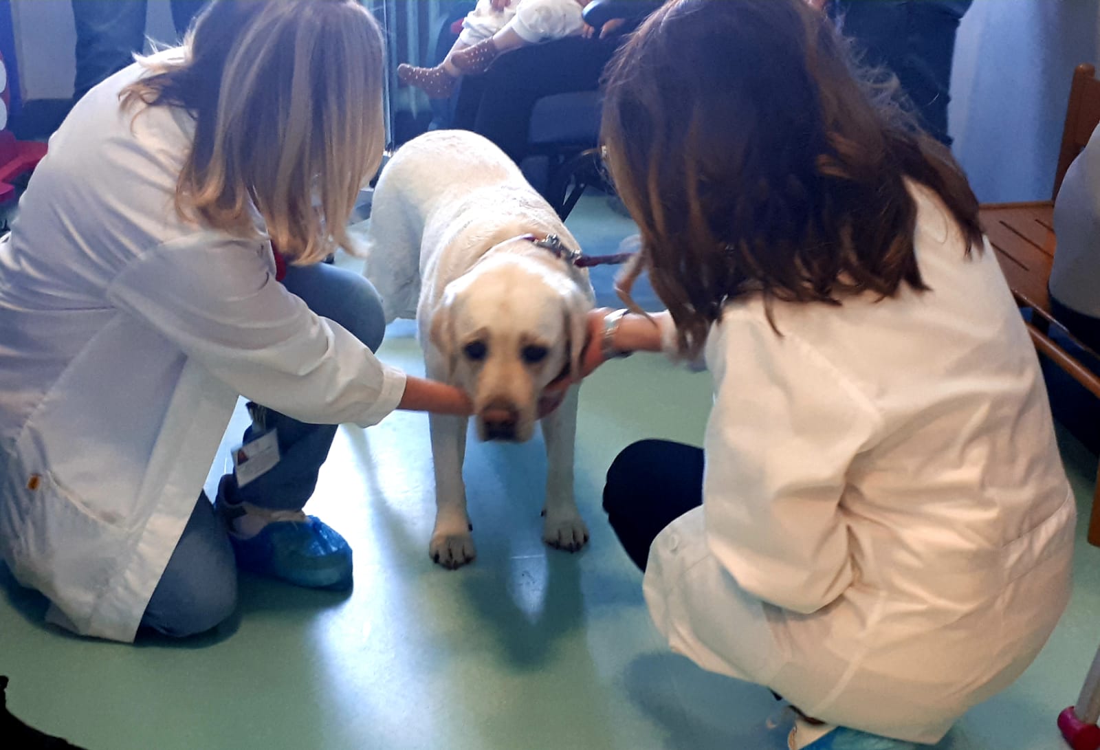 Taranto: al SS. Annunziata torna la pet therapy per i piccoli e le piccole in cura